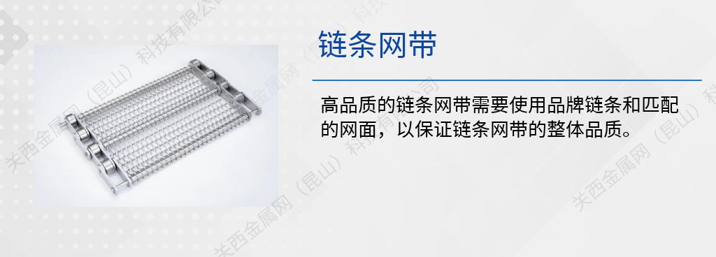 鏈條網(wǎng)帶 鏈條網(wǎng)帶