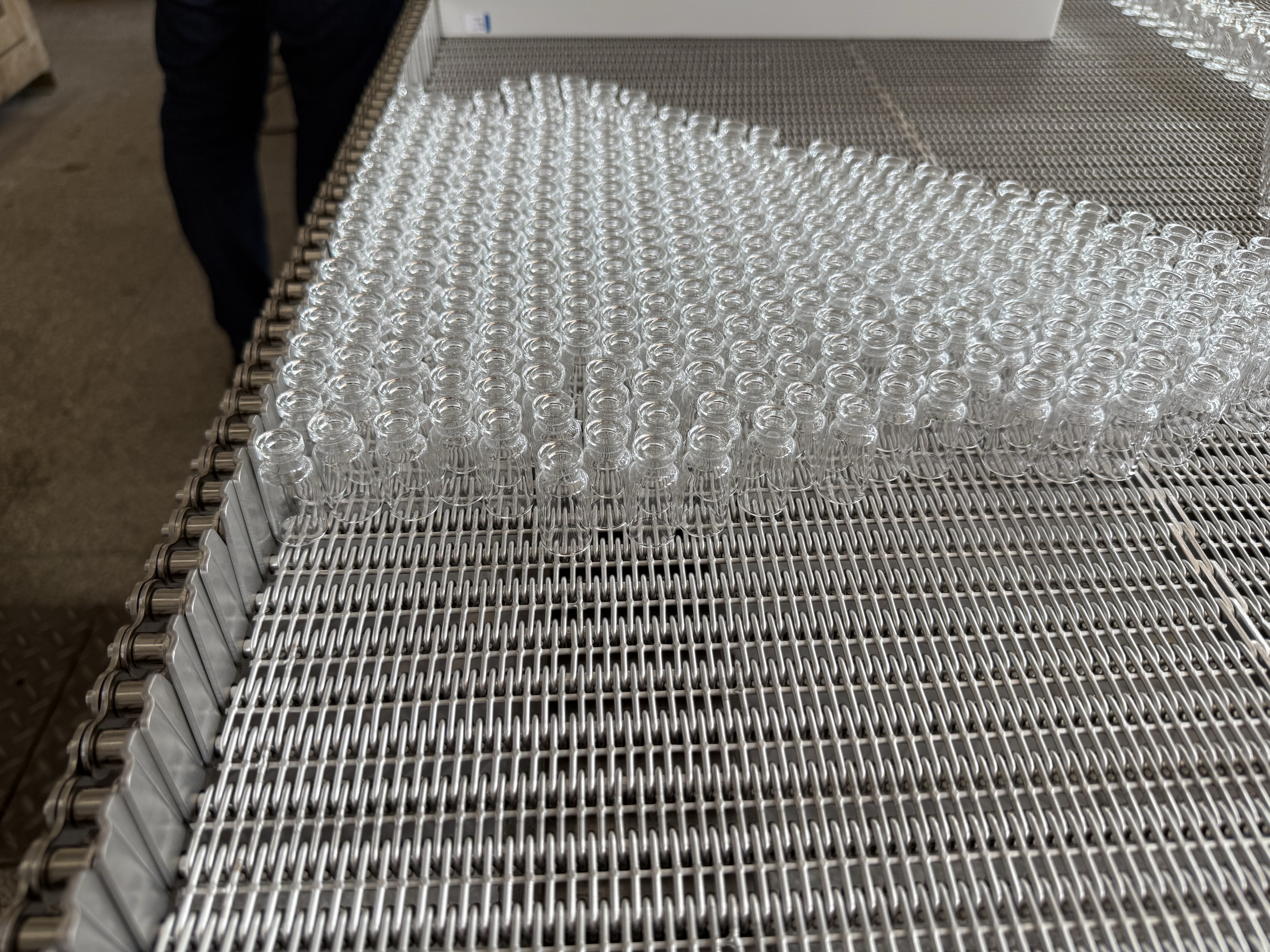 眼鏡網帶 眼鏡網帶